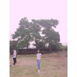 Nguyễn Thị Minh Nguyệt - @trang.son.942145 - Instagram