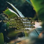 Nguyễn Tràng Sơn - @trangson.email - Instagram