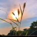Trang Son - Facebook