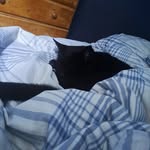 Travis Adamson - @travisba2302 - Instagram
