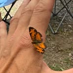 Travis Allison - Facebook