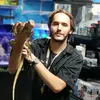travis alvarez - @dankreptiles - TikTok
