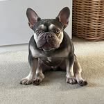 Travis / Trav / Travvy Doo / Handsome Angel - @travis.borker - Instagram