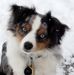 Travis Argyle - Facebook