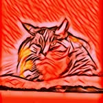 Travis Arnett - @roarringflames - Instagram