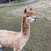 Travis Ballard - Facebook