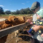Travis Barham - @attempref - Instagram