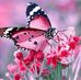 Travis Parham - Facebook