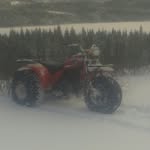 travis barnes - @travis34barnes - Instagram