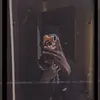 Travis bash - @travis.bash - TikTok