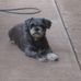 Travis Baum - Facebook