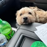 Travis Baxley - @tbaxley19 - Instagram