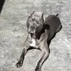 Travis Beach - @travisbeach02 - TikTok