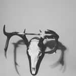 travis bean - @bean_travis - Instagram