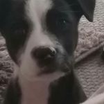 Travis Bean Jr. - @bean.travis - Instagram