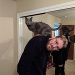 Travis Beaney - @travisbeaneymusic - Instagram