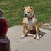 Travis Beasley - Facebook