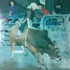 travisbeasley277 - @travisbeasley277 - TikTok