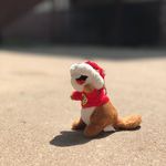 $TRAVIS$ - @travis.the.beaver - Instagram