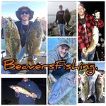 Travis Beavers - @beaversfishing - Instagram