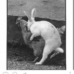 Travis Beavers - @beaversnaps - Instagram