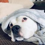 Travis Ray Beeman - @travis_ray_beeman - Instagram