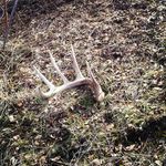 Travis Beers - @travis_beers_3 - Instagram
