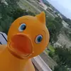 Travis Bing - @travbing - TikTok