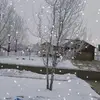 travisbingham56 - @travisbingham56 - TikTok