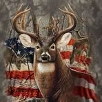 Travis Bishop - Facebook