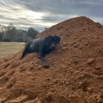 Travis Bishop - Facebook