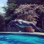 Travis Blackburn - @flyinfishleather - Instagram