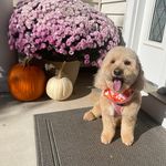 Travis Blackburn - @tblack8805 - Instagram