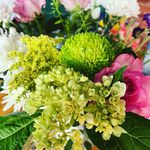 Lynn Travis Bowden - @lynn_bowden - Instagram