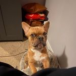 Travis Bowden - @travis_bowden12 - Instagram