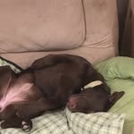 Travis Bowers - @travisbowers34 - Instagram