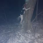 Travis Bowling - @travis.bowling.357 - Instagram