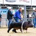 Braxton Travis - Facebook