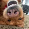 travis_bishy - @travis_bishy - TikTok