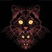 Travis Broyles - Facebook