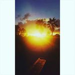 Travis Burroughs - @burroughs5685 - Instagram