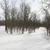 Travis Busch - @travis.busch - TikTok