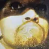 traviscapehart481 - @traviscapehart481 - TikTok
