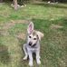 Travis Cardwell - Facebook