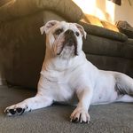 Travis Chaney - @travischaney187 - Instagram