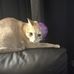 Travis Clapp - Facebook