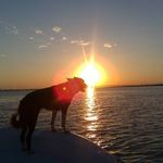 Travis Clements - @travis_clements49 - Instagram