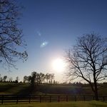 Travis Conner - @tconner1029 - Instagram
