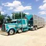 Travis Conner - @little_showboat_07 - Instagram
