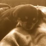 Travis - @travis_cortez31 - Instagram